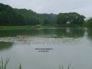 Photo 01.JPG