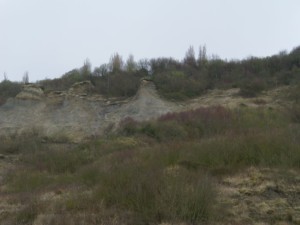 Photo 05.JPG