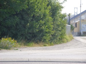 Photo 05.JPG