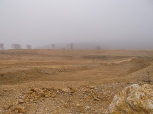Photo 10.JPG