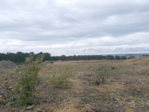 Photo 10.JPG