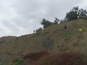 Photo 11.JPG