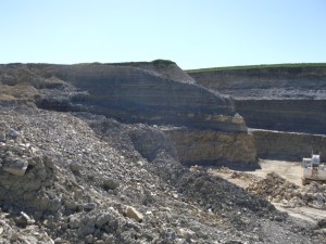 Photo 11.JPG