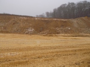 Photo 11.JPG