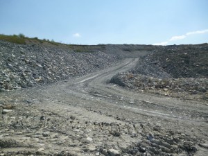 Photo 11.jpg