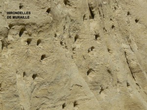 Photo 11.jpg