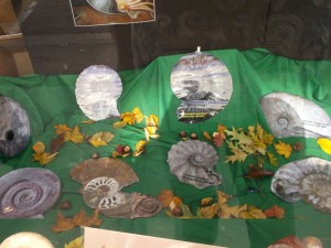Photo 11.JPG