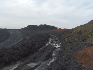 Photo 12.JPG