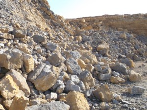 Photo 12.JPG