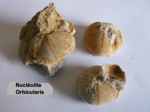 Photo 13.JPG