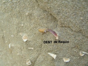 Photo 14.jpg