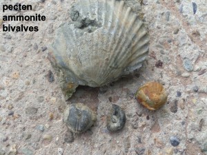 Photo 14.JPG