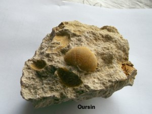 Photo 14.JPG