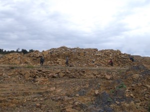Photo 14.JPG
