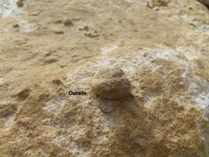 Photo 14.JPG