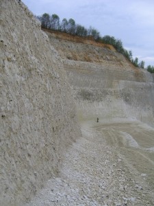 Photo 15.JPG