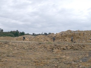 Photo 15.JPG