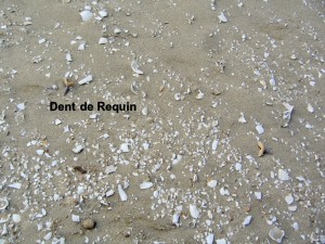 Photo 15.jpg