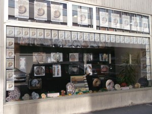 Photo 16.JPG