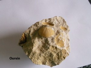 Photo 16.JPG