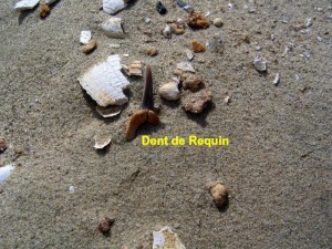 Photo 16.jpg