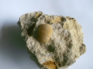 Photo 17.JPG