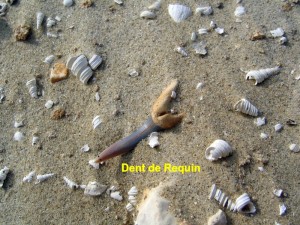 Photo 17.jpg
