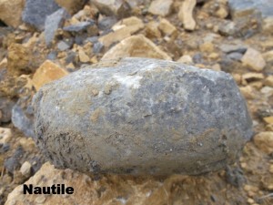 Photo 17.JPG