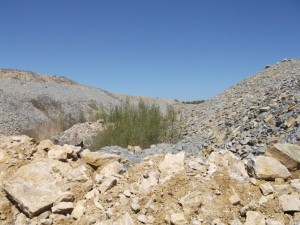 Photo 18.JPG