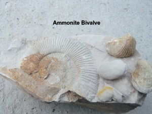 Photo 18.JPG