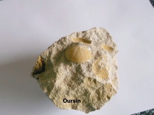 Photo 18.JPG