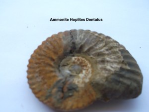 Photo 18.JPG