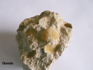Photo 19.JPG