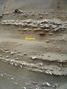 Photo 19.jpg