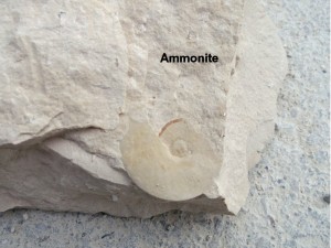 Photo 20.JPG