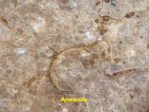 Photo 20.JPG