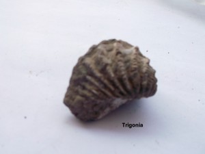 Photo 20.JPG