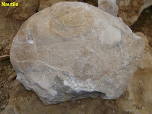 Photo 21.JPG