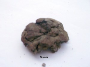 Photo 21.JPG