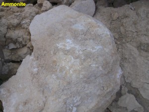 Photo 22.JPG