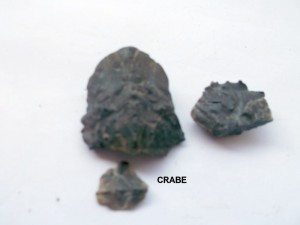Photo 22.JPG