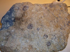 Photo 22.JPG