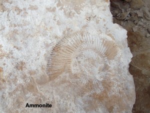 Photo 22.JPG