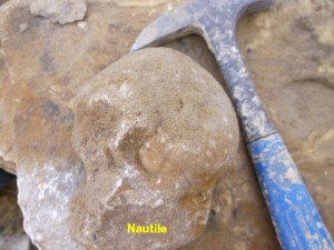 Photo 22.JPG