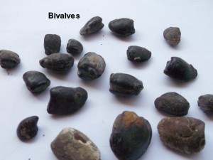 Photo 23.JPG
