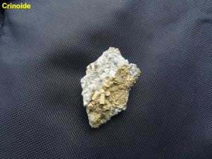 Photo 23.JPG