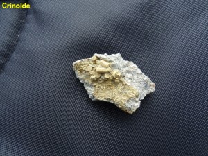 Photo 24.JPG