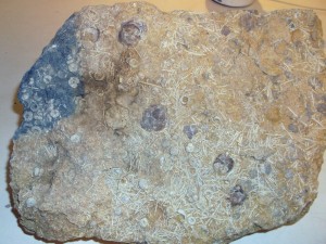Photo 24.JPG