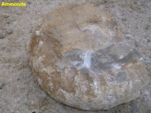 Photo 26.JPG