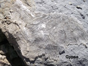 Photo 26.JPG